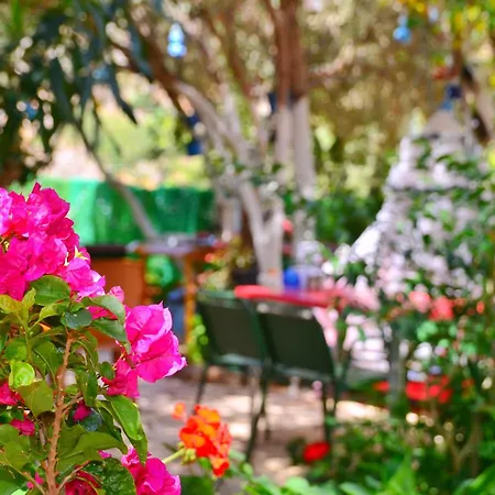 Hotel Efe *